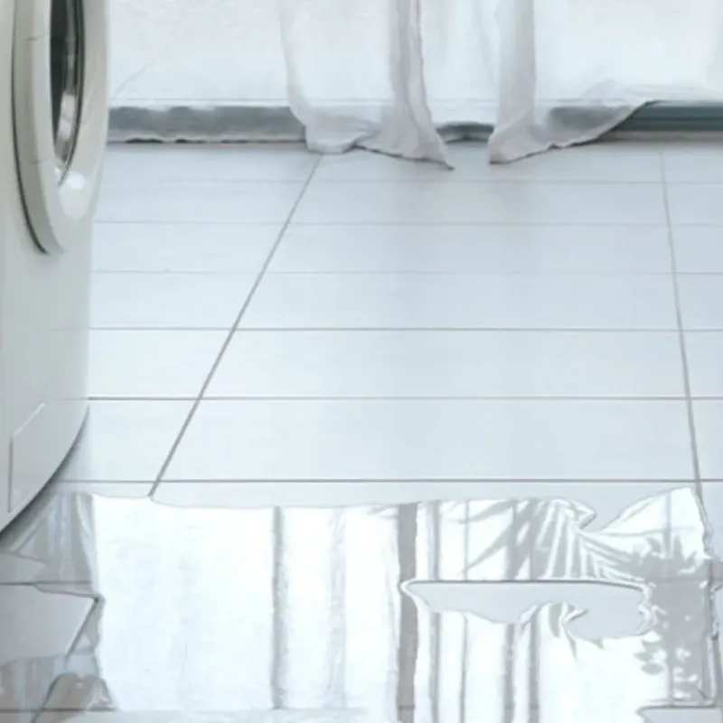 Appliance Leak Cleanup in Burgaw, NC