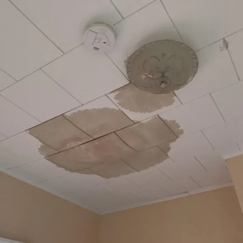 Ceiling Water Damage Repair in Burgaw, NC