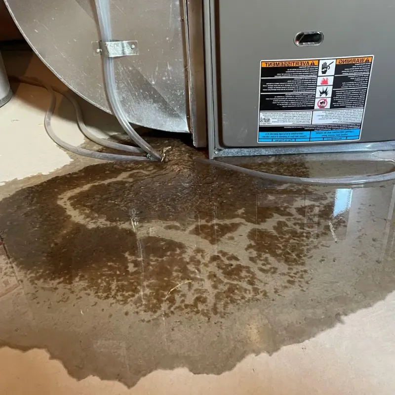 Pipe Burst and Leak Restoration in Burgaw, NC