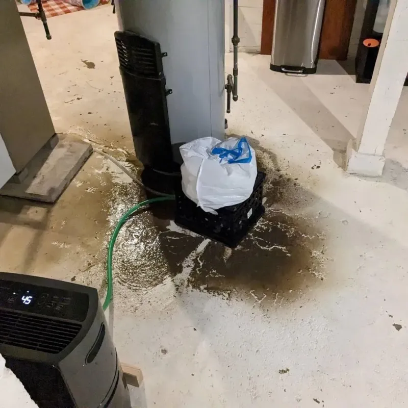 Sewage Backup Cleanup Service in Burgaw, NC